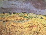 Vincent Van Gogh The Fields (nn04) France oil painting artist